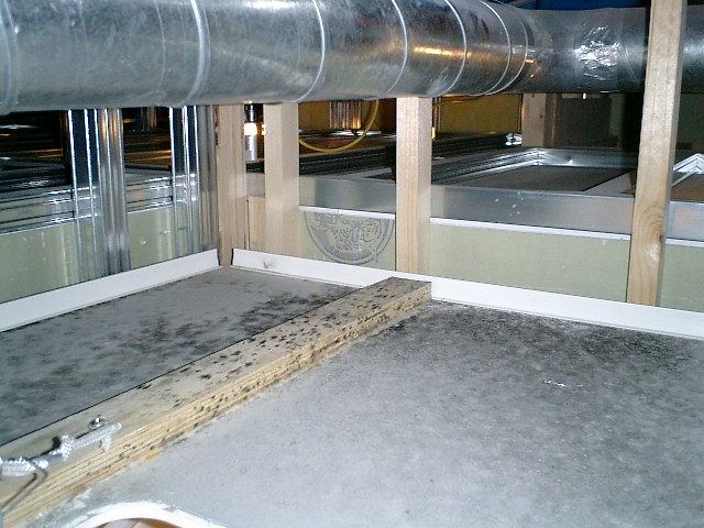 ユニットバス点検口内のカビ